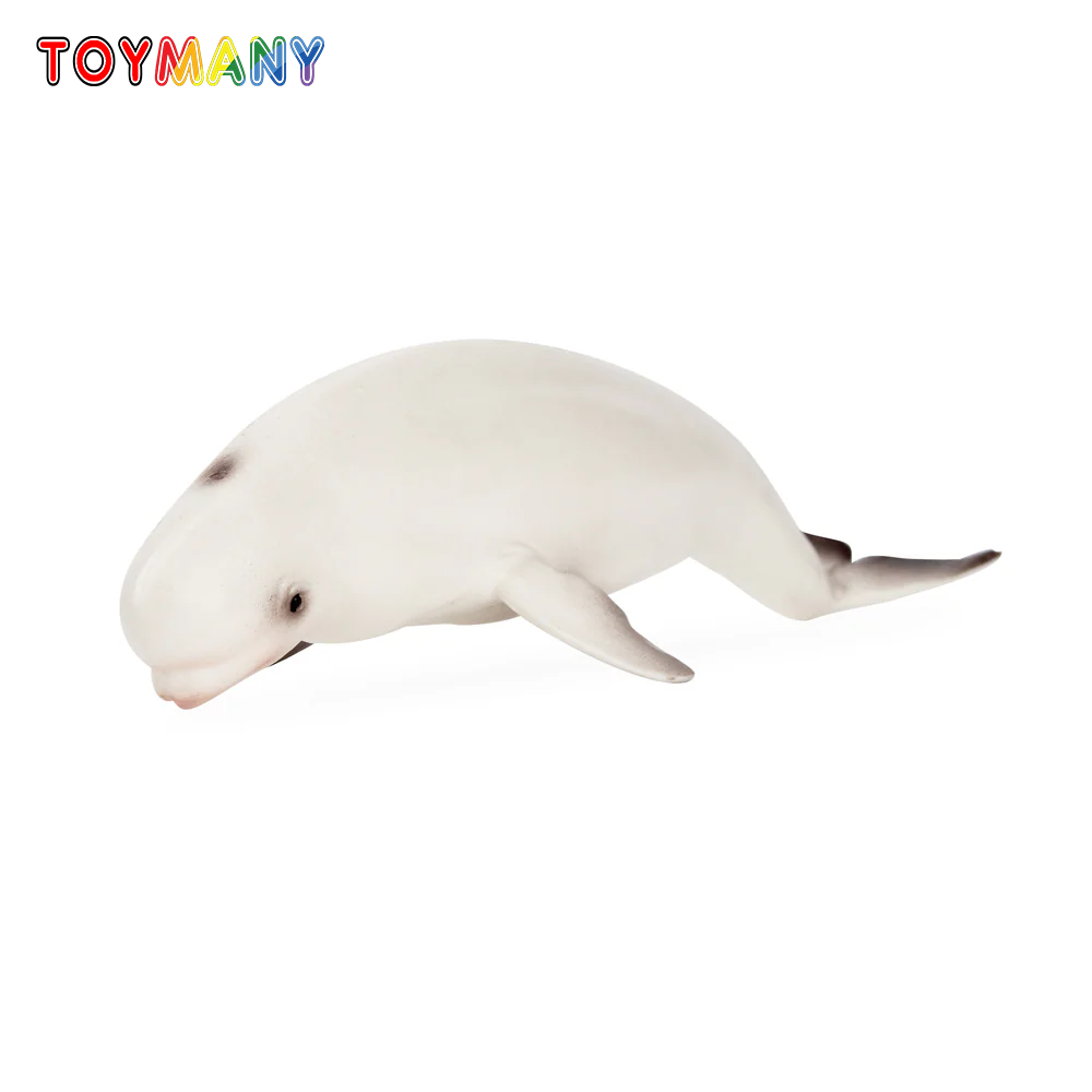 Marine Aquarium Decorations - Toymany محاكاة بيلوغا الحوت المحيط نماذج