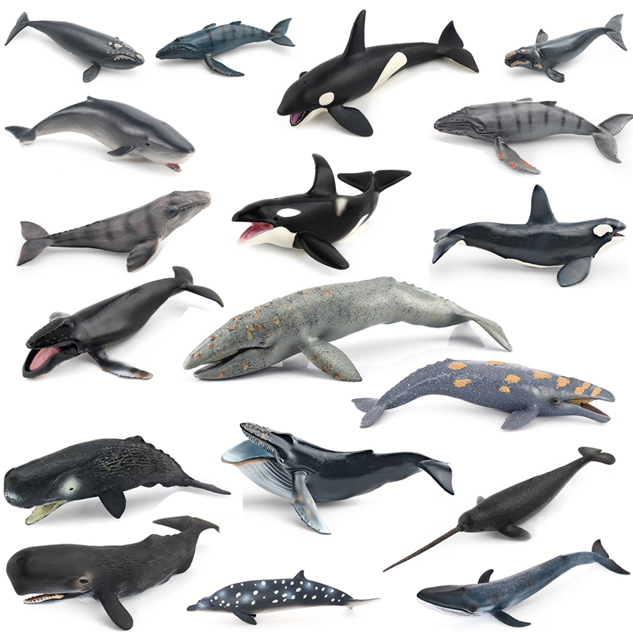 Marine Aquarium Decorations - نماذج حيوانات بحرية واقعية: حوت الظهر