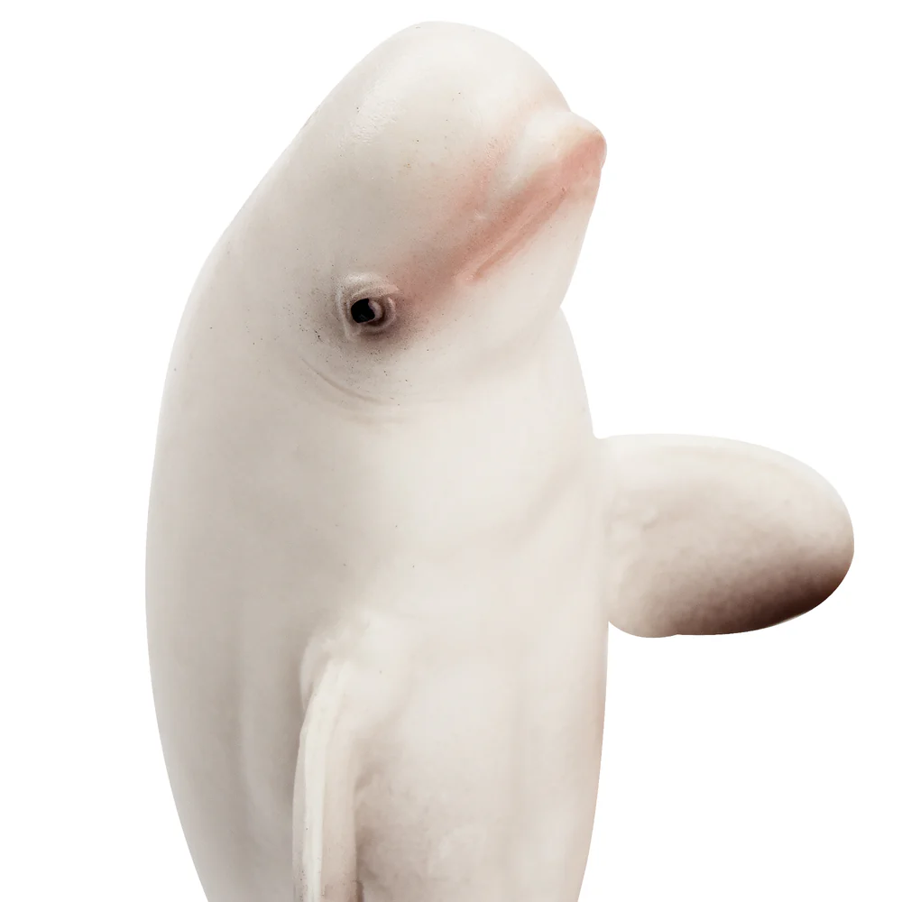 Toymany محاكاة بيلوغا الحوت ال - مراجعة Marine Aquarium Decorations وسعره