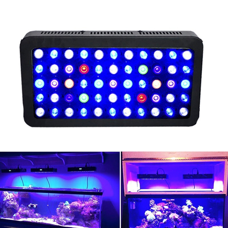 إضاءة حوض السمك 165 واط مع خاص - مراجعة Marine Aquarium Timing وسعره
