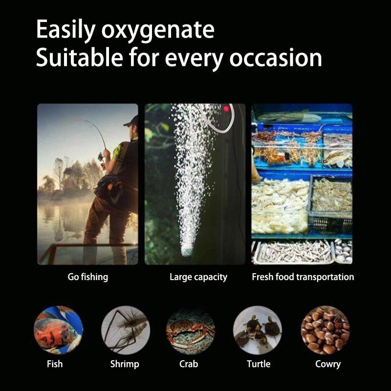 طقم مضخة هواء حوض السمك الصغير - مراجعة Aquarium Marine Stone وسعره
