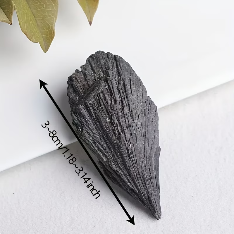 حجر الكيانيت الأسود الطبيعي ال - مراجعة Aquarium Marine Stone وسعره