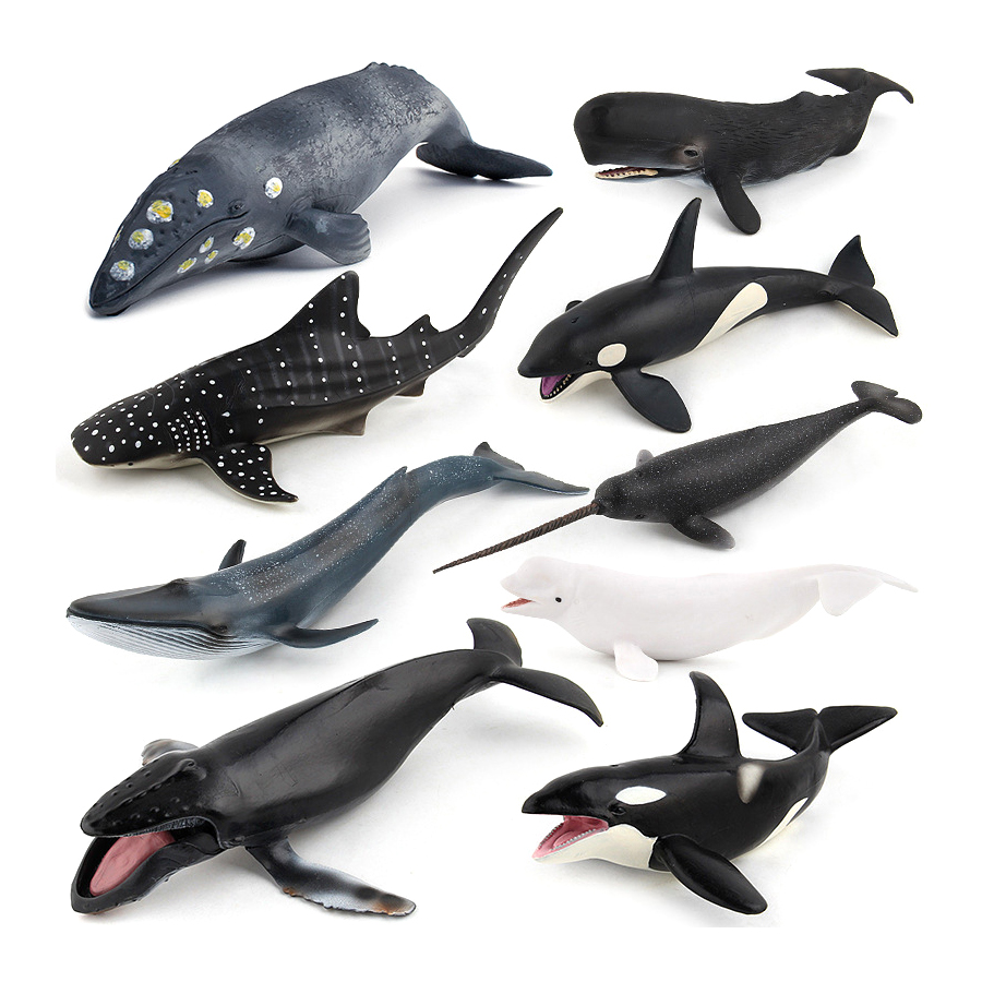 نماذج حيوانات بحرية واقعية: حو - مراجعة Marine Aquarium Decorations وسعره