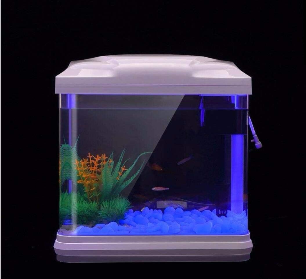 حوض السمك الصخور توهج الحصى ال - مراجعة Aquarium Marine Stone وسعره