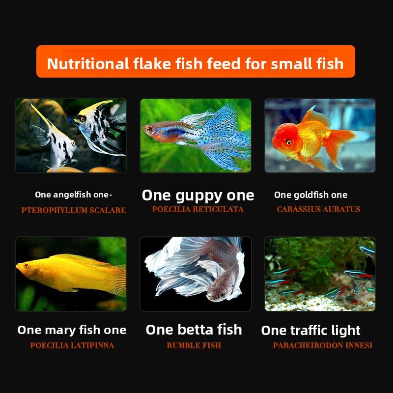 DaJiaWa Spirulina Flake Fish F - مراجعة Tetra Food Tropical Flakes وسعره