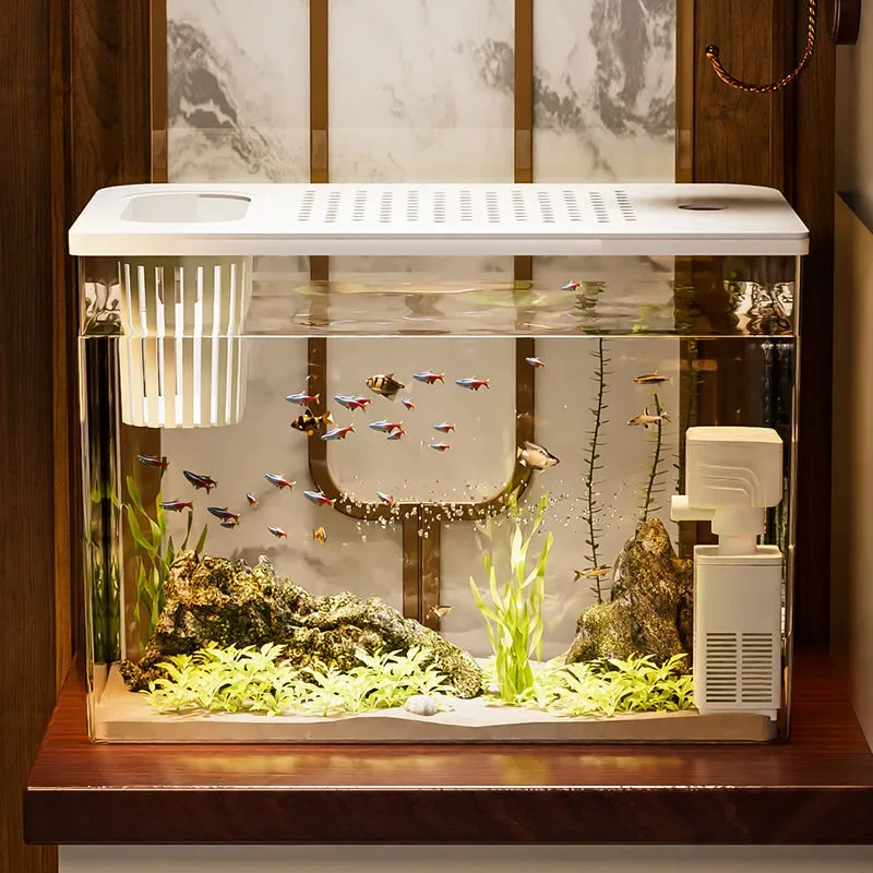 PET + ABS خزان الأسماك جديد شف - مراجعة Marine Aquarium With Sump وسعره