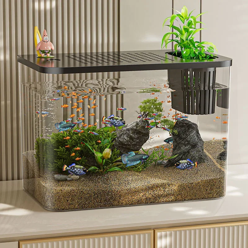 PET + ABS خزان الأسماك جديد شف - مراجعة Marine Aquarium With Sump وسعره