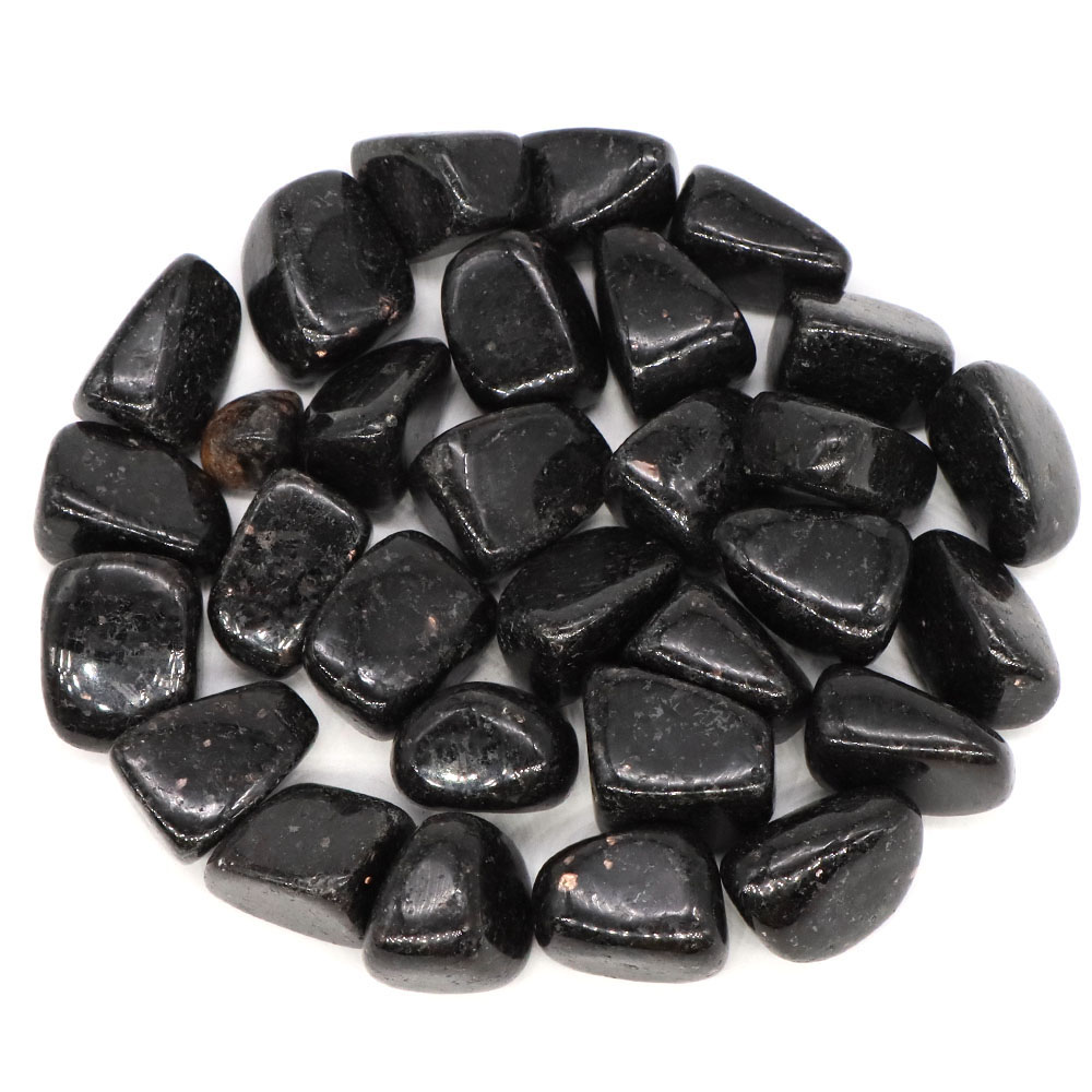 عينة حصى نوميت طبيعية غير منتظ - مراجعة Aquarium Marine Stone وسعره