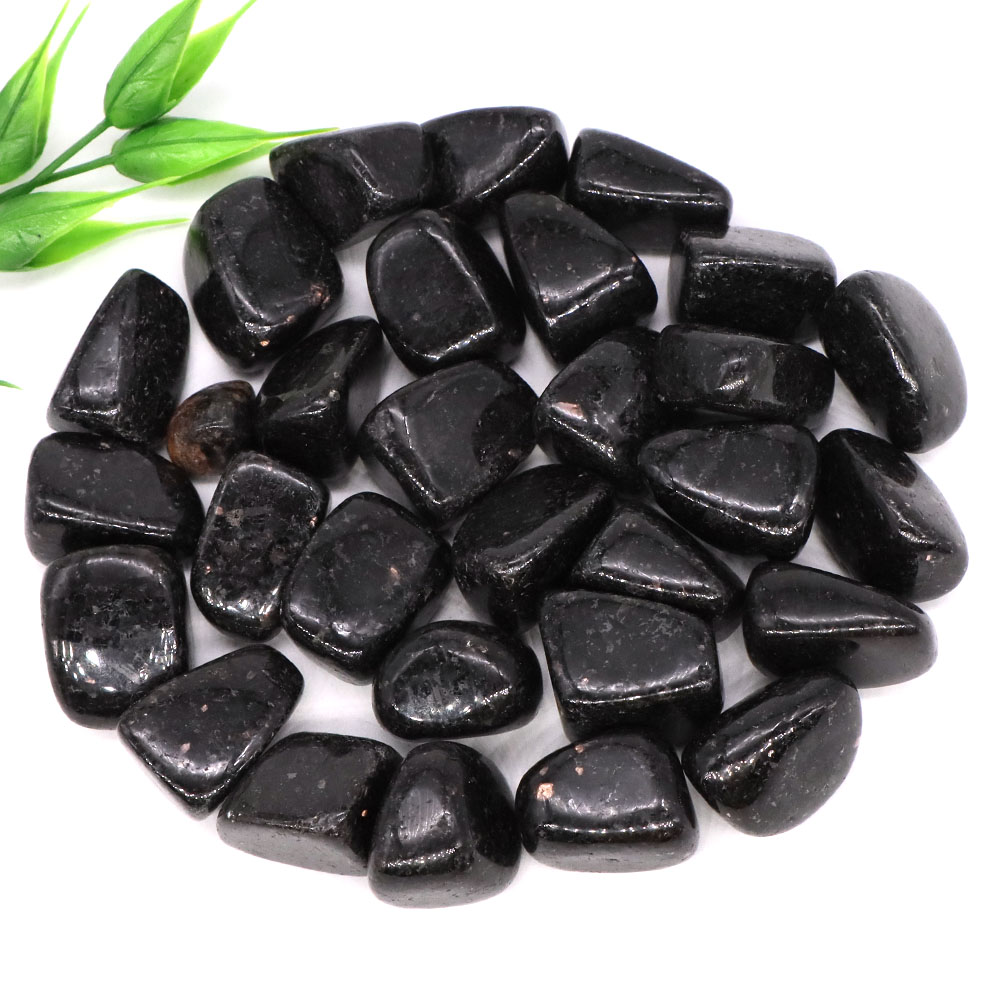 عينة حصى نوميت طبيعية غير منتظ - مراجعة Aquarium Marine Stone وسعره