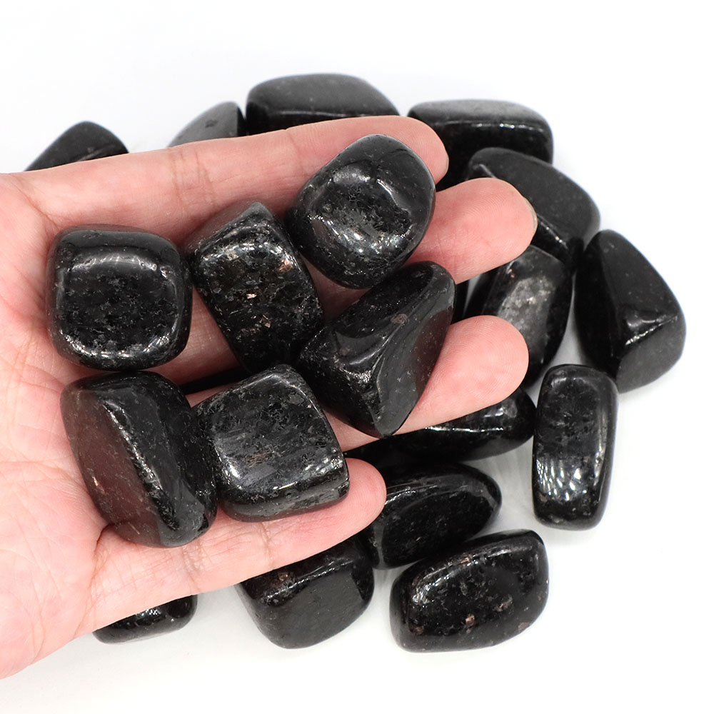 عينة حصى نوميت طبيعية غير منتظ - مراجعة Aquarium Marine Stone وسعره