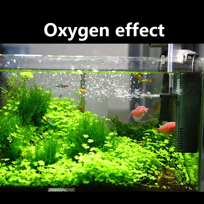 مضخة أوكسجين داخلي نانو صغيرة  - مراجعة Marine Aquarium Uv Sterilizer وسعره