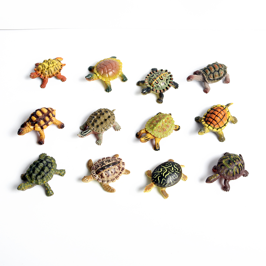 نموذج سلحفاة بحرية للحياة البح - مراجعة Marine Aquarium Decorations وسعره